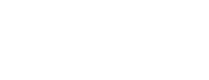 DF - Venture Forge